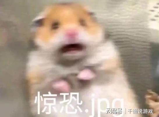 奇不有 现实的戏剧性超乎想象PG麻将胡了网友：世界之大无