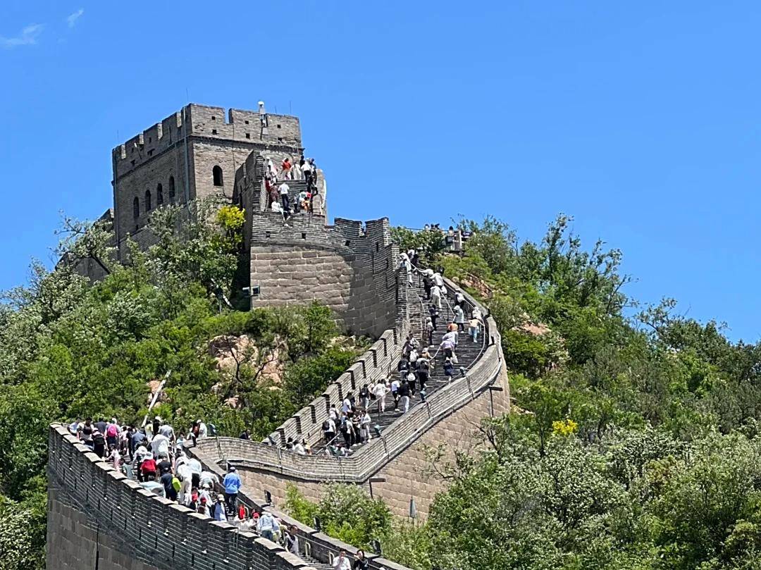 最好 5 大旅行社正规及联系电话一览表麻将胡了试玩网站免费权威发布：北京口碑(图1)
