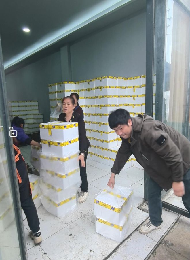 ：每公斤最贵时380元上市一个多月后收购价最低2元PG电子麻将胡了2试玩中国香椿第一县的“香椿自由”(图4)