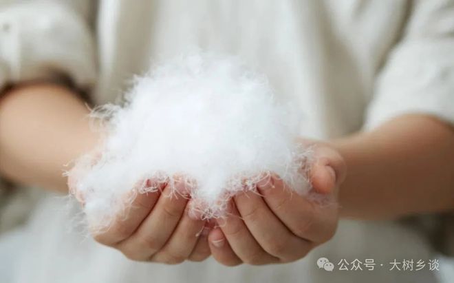元的烤鸭是美国无法翻越的高山PG麻将胡了2试玩一只十几(图12)