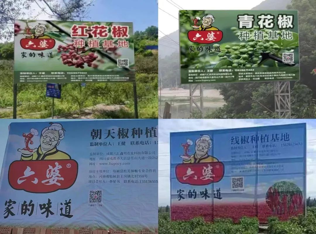 亿袋一包辣椒面如何成为万能蘸料麻将胡了六婆:一年销量超过8(图2) 亿袋一包辣椒面如何成为万能蘸料麻将胡了六婆:一年销量超过8(图2)